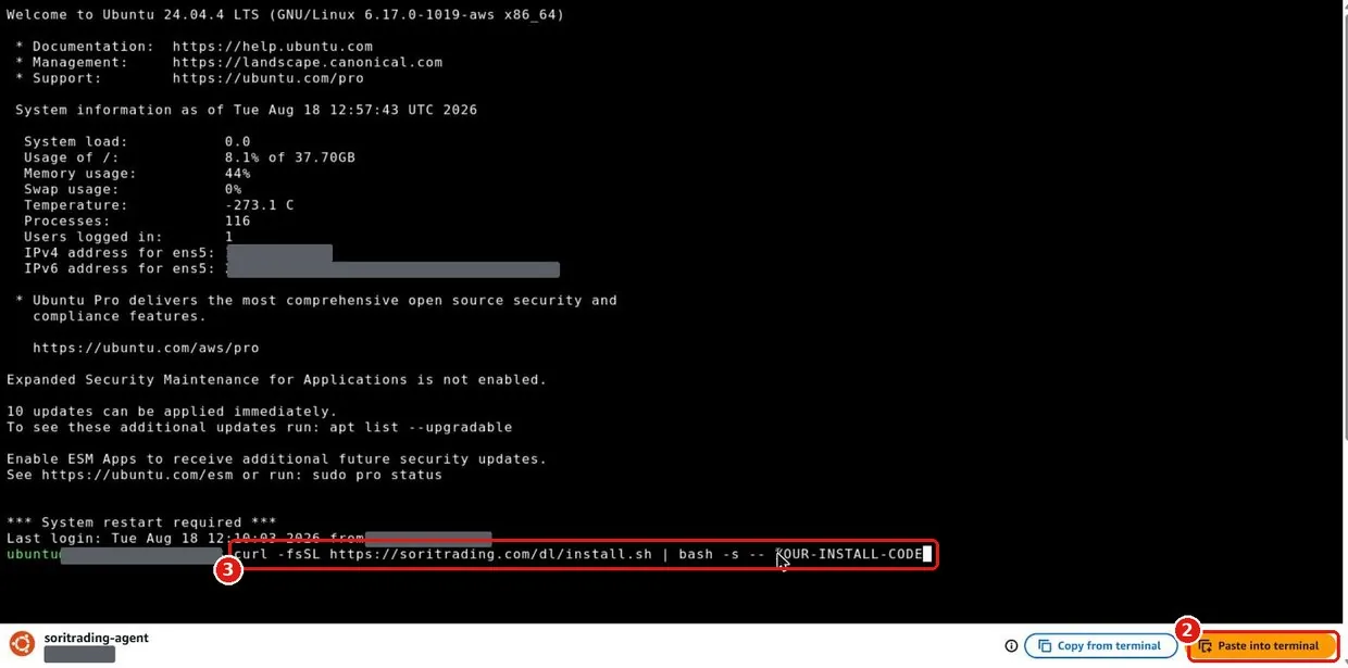 Black terminal window with the orange Paste into terminal button at the bottom right and the install command on the prompt line